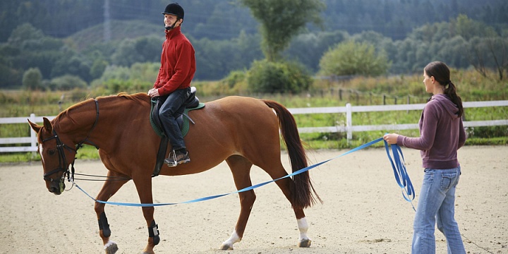 Обучение верховой езде в Абакане. Сервис Ultra Подарки. Купить обучение верховой езде в Абакане. Вы сможете попробовать курс по верховой езде и конные прогулки. Сервис UltraPodarki.ru 8 800 505 95 30. Обучение верховой езде, верховая езда в Абакане, верховая езда Абакан, конный спорт, уроки верховой езды, школа верховой езды, конные прогулки, верховая езда, школа верховой езды в Абакане, конные прогулки в Абакане, обучение верховой езде в Абакане, конный спорт в Абакане, уроки верховой езды в Абакане
